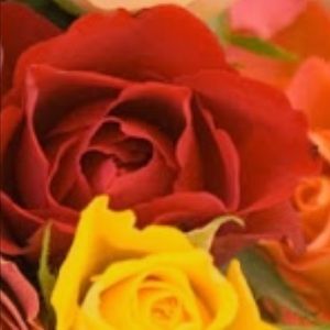 Meet your Posher, Mars